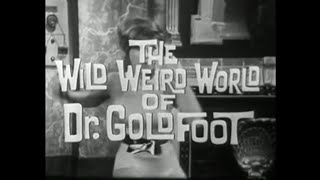 The Wild Weird World of Dr. Goldfoot - Shindig!