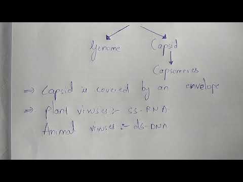 GLYCOLYSIS OR EMP PATHWAY BY PHANINDRA GUPTHA
