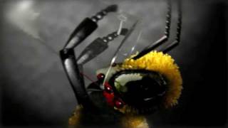 Menomena - Evil Bee (HQ)