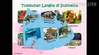 Download lagu Conservation of Endangered Animals and Plants - Grade 3 Elementary School mp3 Download lagu Conservation of Endangered Animals and Plants - Grade 3 Elementary School mp3