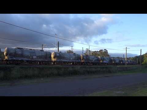 8236 PN and 48101 with PN 4124- 16/11/18