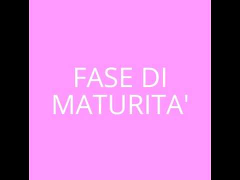 Come trattano vermi a bambini La manifestazione striscia ad adulti