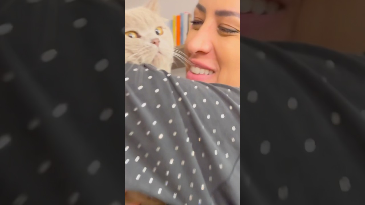 Quando il tuo gatto rompe un vaso