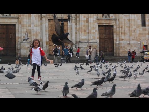 "Himno de Independiente Santa Fe" Barra: La Guardia Albi Roja Sur &bull; Club: Independiente Santa Fe