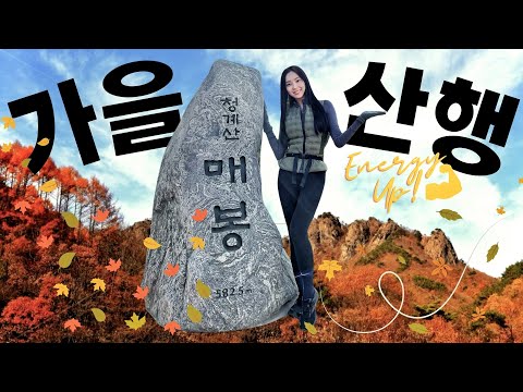 정상까지 30분 컷?! 여자 혼자 청계산 솔로산행! 강철체력 관리 비결 대 공개💪🏽