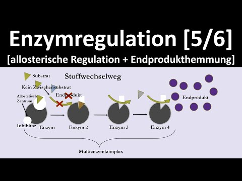 Allosteric regulation + end-product inhibition - Enzyme regulation [5/6] - [Biology, advanced level]