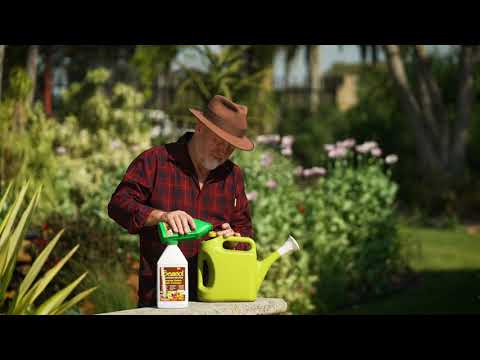 The Garden Gurus - Watercress