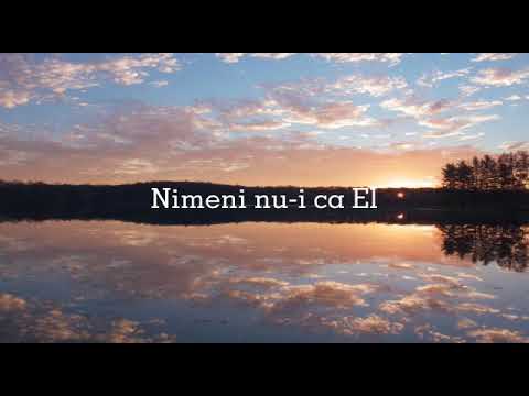 Nimeni nu-i ca El - Ligia Bodea