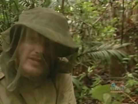 Headwaters Of The Orinoco Ray Mears S2E3 part 2