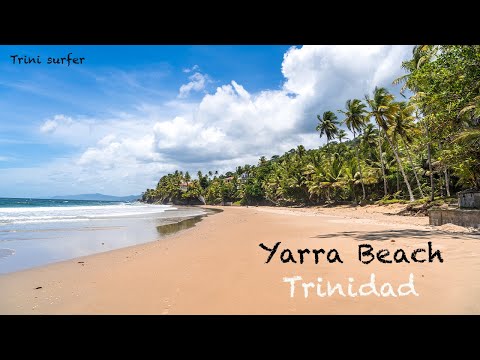 At Yarra Beach, the blue water flows along a sandy beach & coconut trees sway here in paradise.