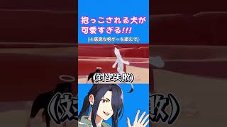 可愛い犬が可愛いぬいに抱っこされてる…(マイリトルパピー)