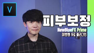 베가스 강의 무료 플러그인으로 피부 보정하기/NewBlueFX Prime
