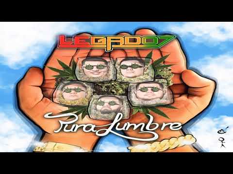 Legado 7 ft hijos de Barron - Rama verde