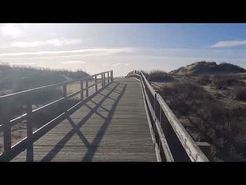 AYN RAND | CAPITALISM: THE UNKNOWN IDEAL