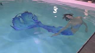 Download lagu 20250618 141046 富桂園水中攝影，藍孔雀美人魚 mp3