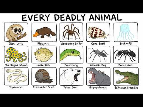 15 Deadliest Animals Known to Man