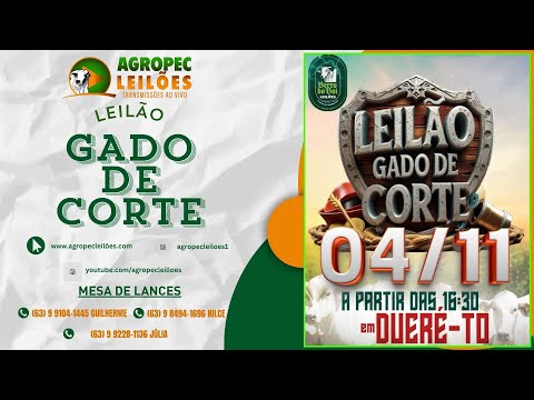agropecleiloes.com - AO VIVO - LEILÃO GADO DE CORTE | BERRO DO BOI LEILÕES - DUERÉ -TO 04/11/2025