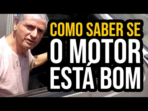 Como saber se o motor da Besta está bom