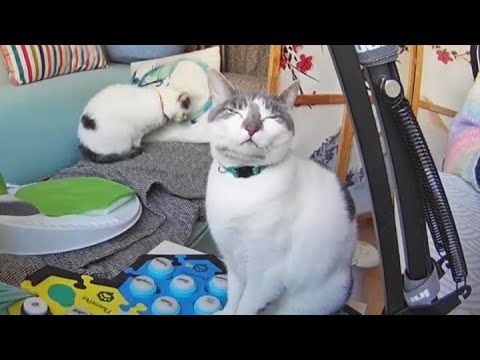 Sabriel keeping me accountable for treats