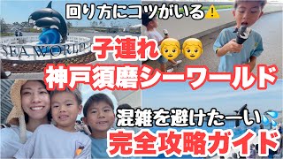 【子連れ】神戸須磨シーワールド完全攻略ガイド⚠️混雑を避けるにはコツがいります！