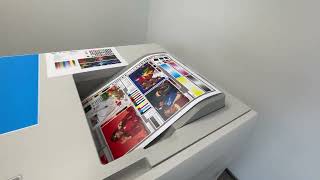 Almanya'dan Satılık Xerox Iridesse 6 Colours Dijital Baskı