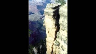 Mensaje : La Simiente de la Serpiente Parte 1