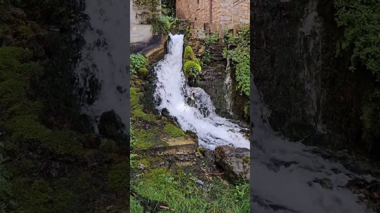 YouTube Short thumbnail