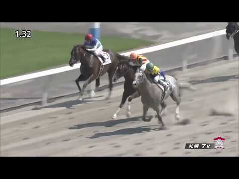2017 Japan 3YO And Up Allowance - Foggy Night (フォギーナイト) - 莫雷拉賽日四 Wins