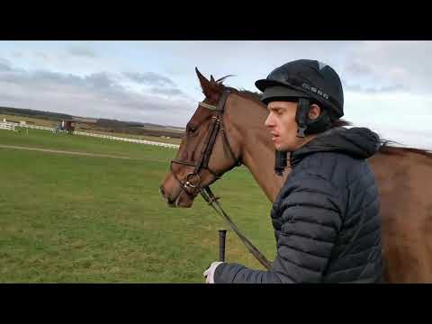 Larkhill 11-01-20  -  Sheldon, Tommie Beau, Dylan Thomas(Raj), Mossy Glen, Barrowmount, Dylan Thomas