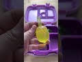 Packing School Lunch ONLY JELLO Shorts