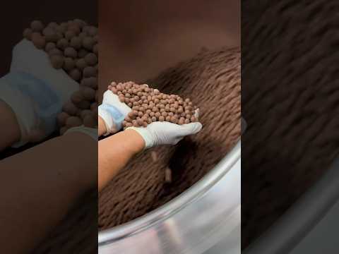 Cocoa Puffs covered in Milk Chocolate #jeanmarieauboinechocolatier #cocoapuffs #milkchocolate