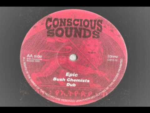 Bush Chemists  - Epic -  extended with dub conscious sounds records 2005 stepper reggae