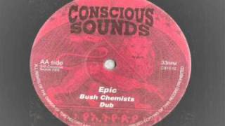Bush Chemists  - Epic -  extended with dub conscious sounds records 2005 stepper reggae