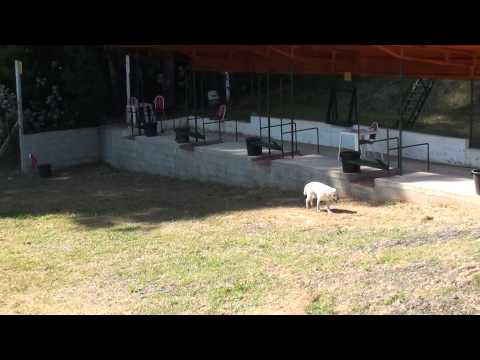 14 e 15 de Junho de 2014 -- Torneio Cidade de Espinho