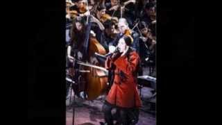 Beethoven Symphony No.7 - Allegretto - Nota profana