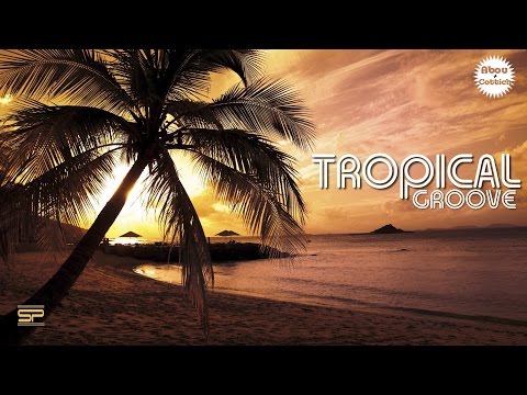 Tropical Groove - Groovy chillout & Discomania by Mr Abou & Cottich San