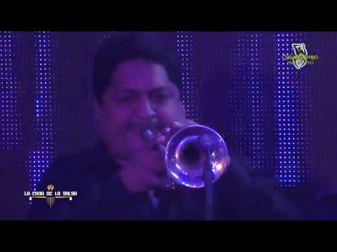 ♫♫Probablemente   Daniela Darcourt y Orq    Casa De La Salsa 190818