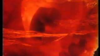 Roger Waters   Give Birth to a Smile   YouTube