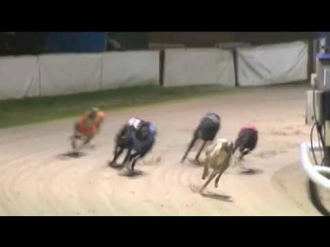 CORAL CORONATION CUP - HEAT 5 - T5 - SALEEN ASH