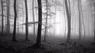 Marc's Photography Tips: Choosing Black and White Versus Color
