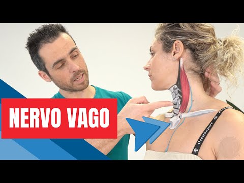 Come stimolare il Nervo Vago: i 3 MIGLIORI ESERCIZI (calma ansia e sintomi neurologici)