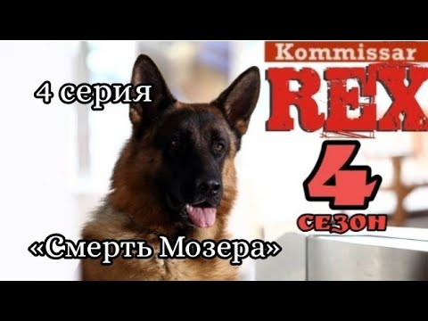 Комиссар Рекс, 4 сезон, 4 серия, «Смерть Мозера»