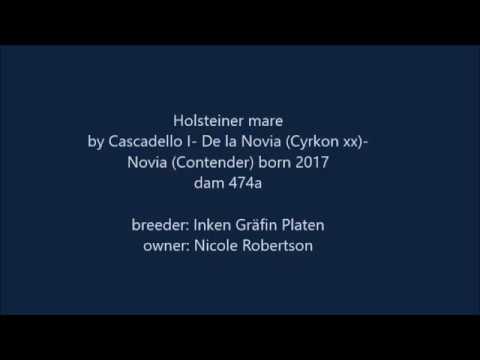 Cascadello Cyrkon 2017