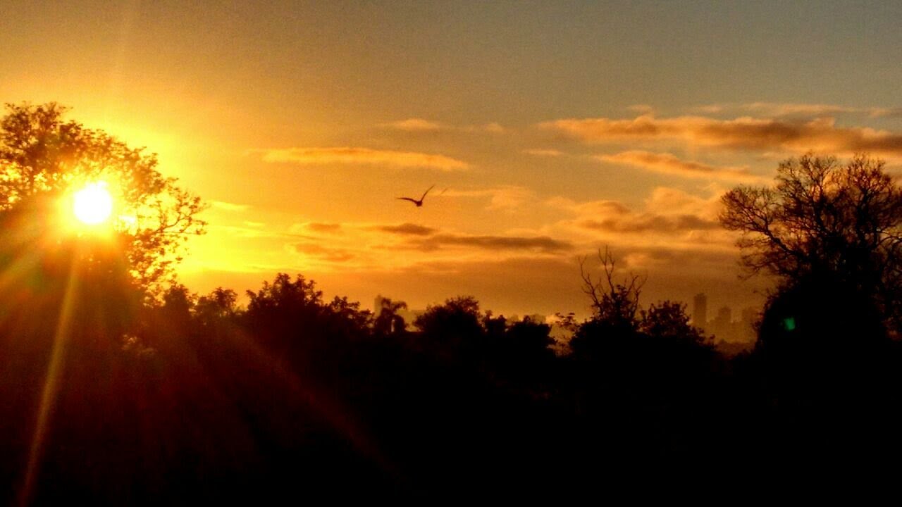 Laudes de Quinta-feira da 7ª Semana do Tempo Comum