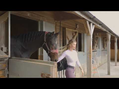 Hillview equestrian property