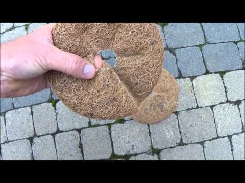 Kokosmulchplatten gegen Frost und Unkraut