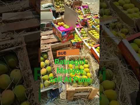 Ratnagiri Alphonsa Mangos Sell At Pune