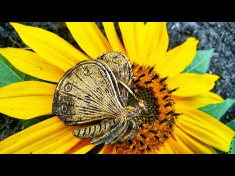 Wykopki odc 98 - Posypało dewocjonaliami