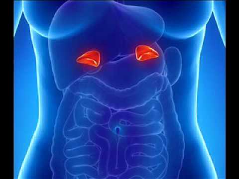 Adrenal fatigue Treatment | Repair | Binaural Beats for Exhaustion Treatment With Isochronic Tones