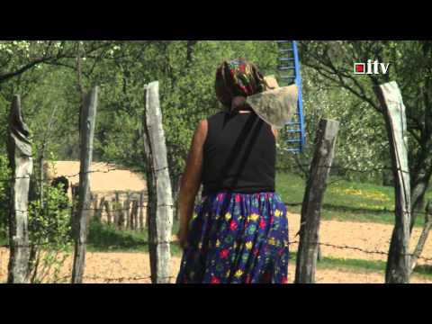 Camarzana_Satu Mare Informatia TV (HD)